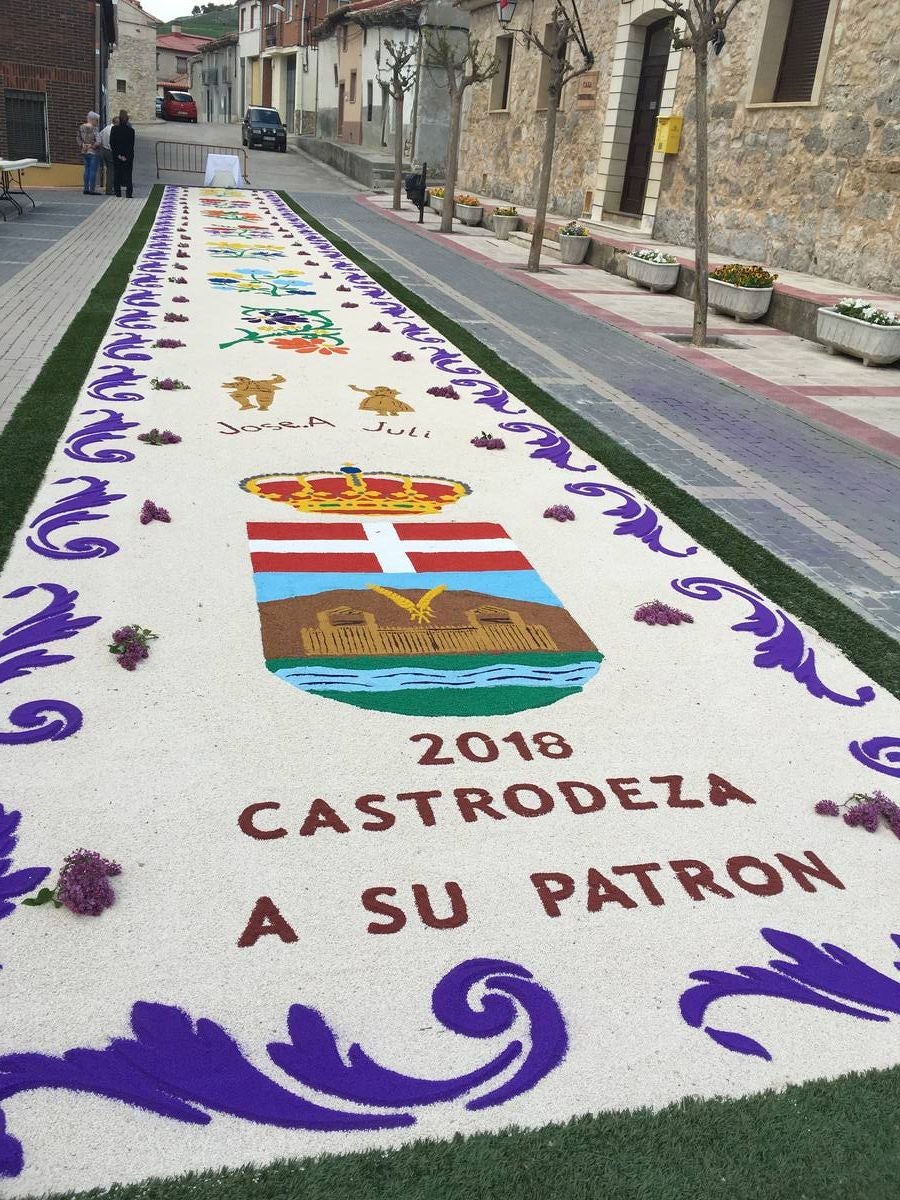 Diecisiete santos desfilaron sobre una alfombra floral confeccionada para su patrón en las fiestas de la localidad