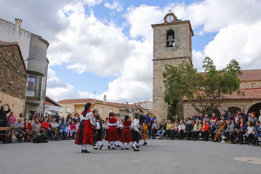 El municipio celebró ayer por todo lo alto, y con numerosa presencia de público, la undécima edición del Festival de Danzas Reserva de la Biosfera 'Sierras de Béjar y de Francia', un certamen que nació ligado al programa 'Primavera en las Sierras'. 