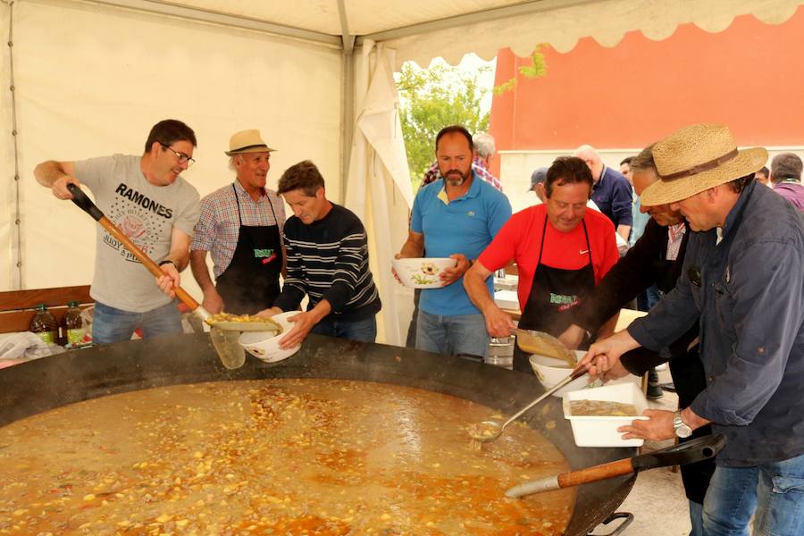 Fotos: San Isidro en Villaviudas