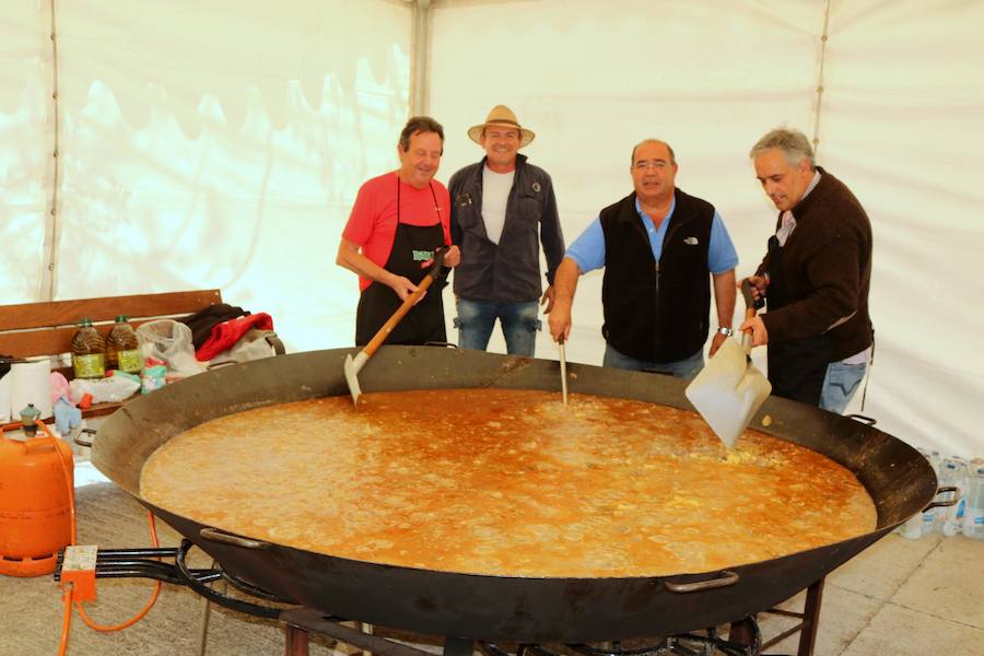 Fotos: San Isidro en Villaviudas