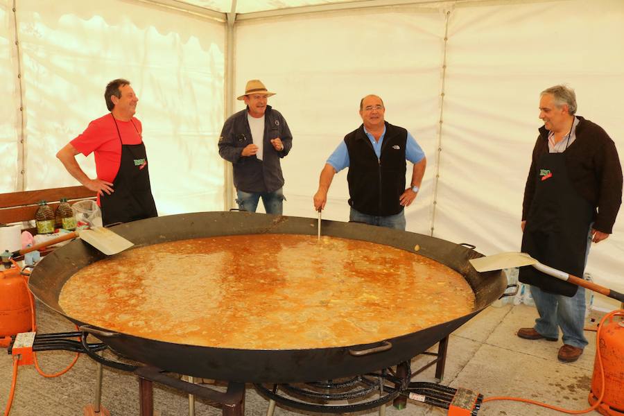 Fotos: San Isidro en Villaviudas
