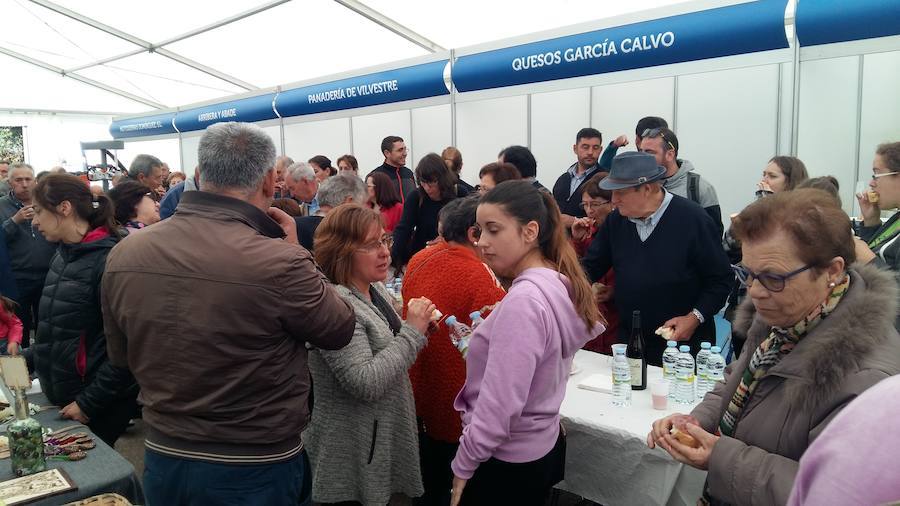 Fotos: Feria Transfronteriza del Aceite y el Olivar de Vilvestre