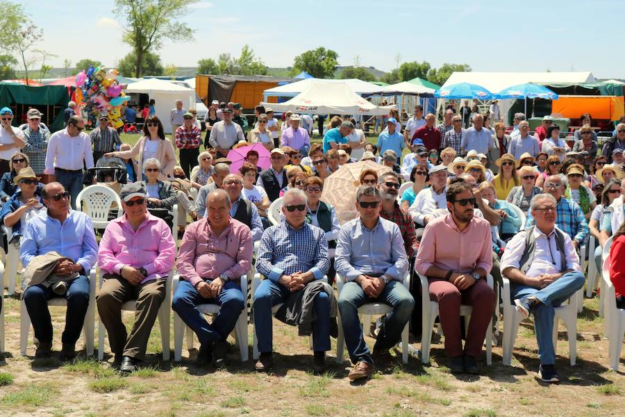 Fotos: Baltanás disfruta de la fiesta de San Gregorio