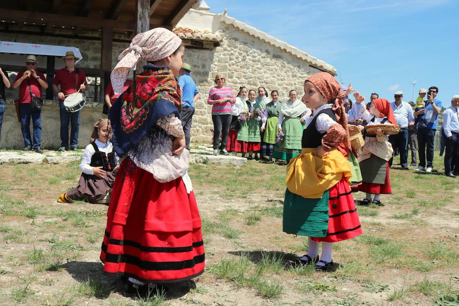 Fotos: Baltanás disfruta de la fiesta de San Gregorio