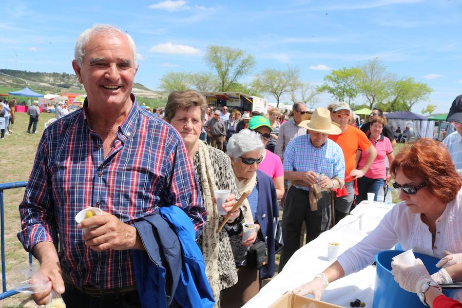 Fotos: Baltanás disfruta de la fiesta de San Gregorio