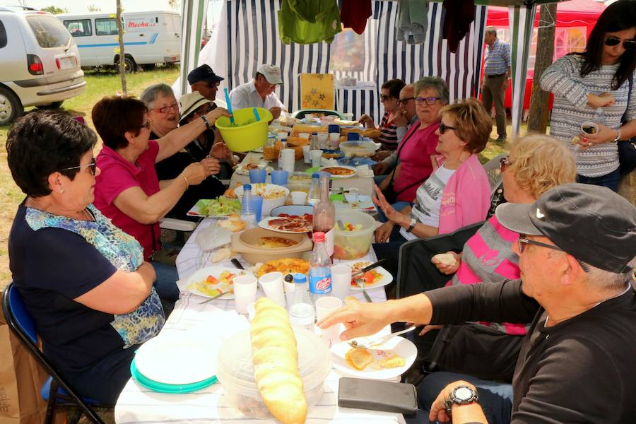 Fotos: Baltanás disfruta de la fiesta de San Gregorio