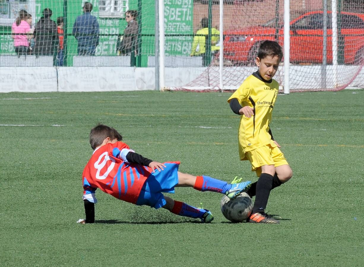 Fotos: Deporte Base del 12 y 13 de mayo. Valladolid