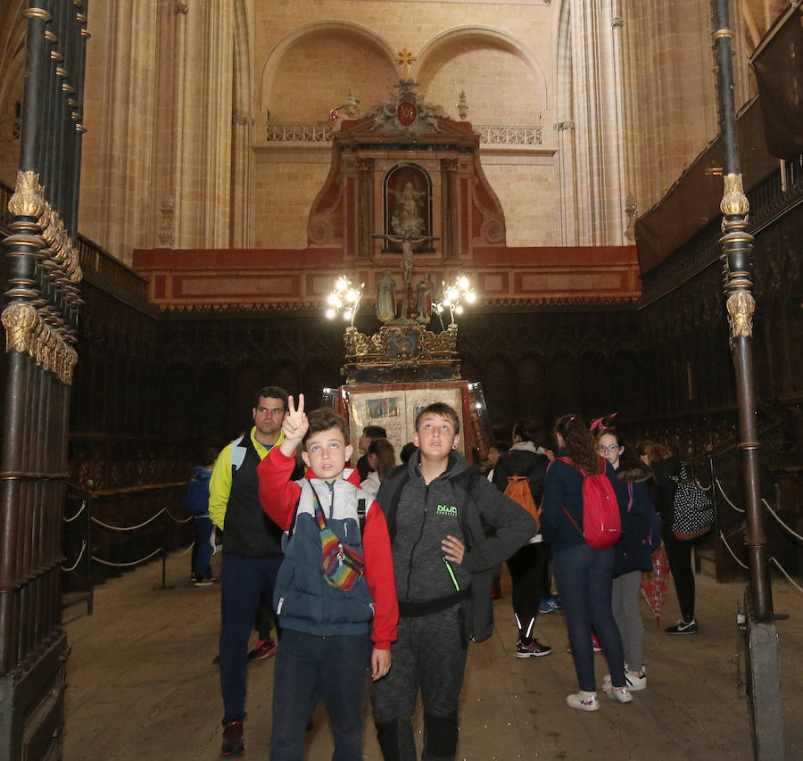 Fotos: Celebración del Día de los Museos en Segovia