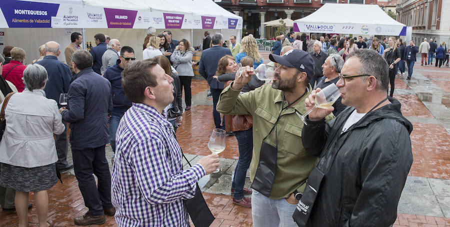 Fotos: Jornada del sábado por la tarde en la feria &#039;Valladolid, plaza mayor del vino&#039;