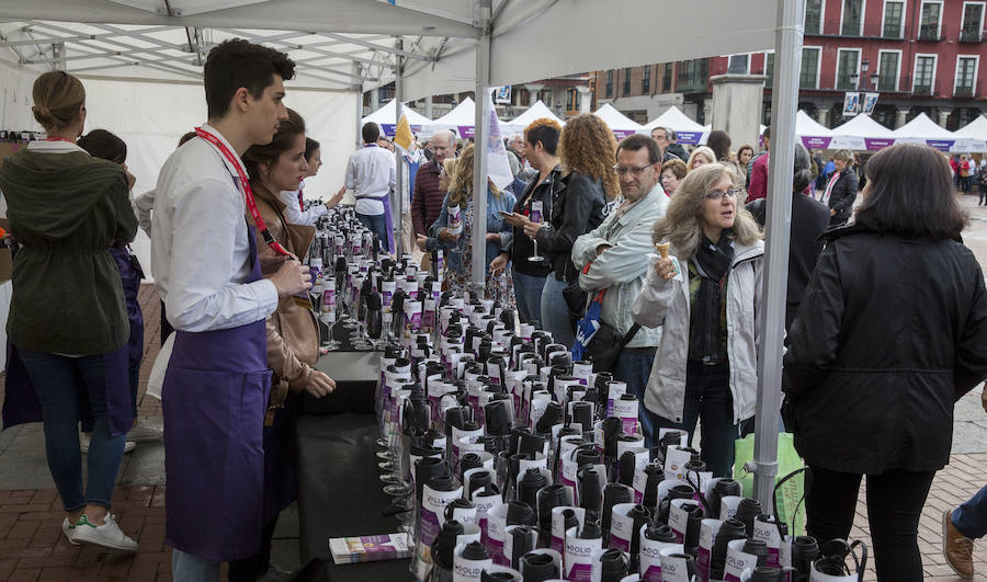 Fotos: Jornada del sábado por la tarde en la feria &#039;Valladolid, plaza mayor del vino&#039;