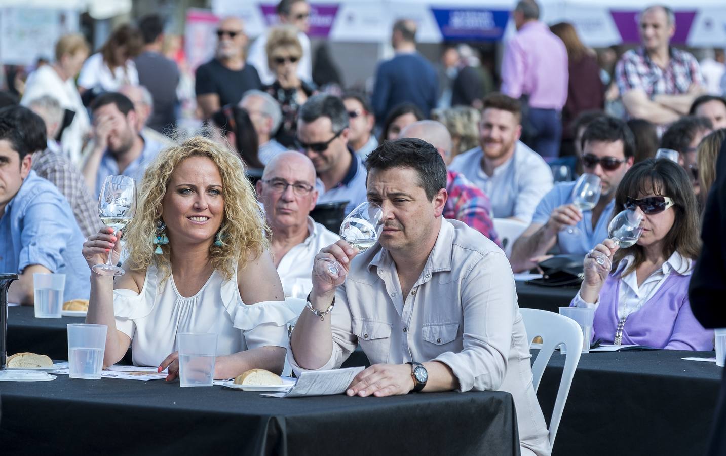 Fotos: Jornada del sábado por la tarde en la feria &#039;Valladolid, Plaza Mayor del Vino&#039;