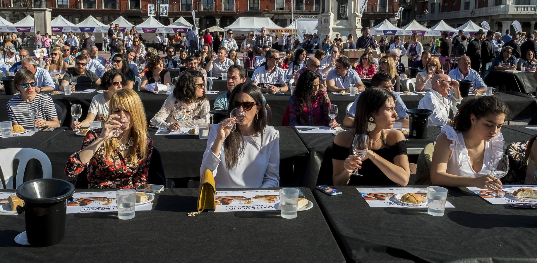 Fotos: Jornada del sábado por la tarde en la feria &#039;Valladolid, Plaza Mayor del Vino&#039;