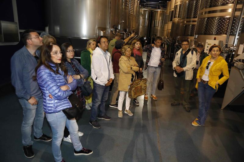 Fotos: Ruta enoturística en Ribera del Duero enmarcada en la feria &#039;Valladolid, Plaza Mayor del Vino&#039;