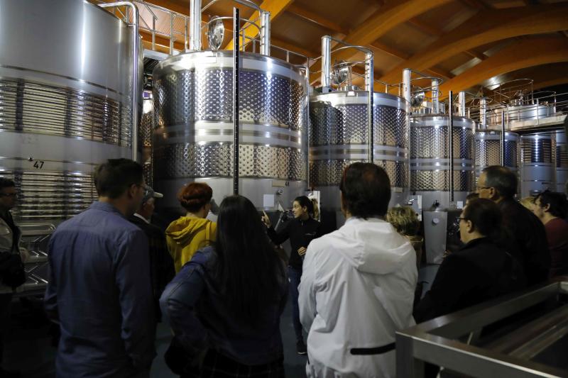 Fotos: Ruta enoturística en Ribera del Duero enmarcada en la feria &#039;Valladolid, Plaza Mayor del Vino&#039;