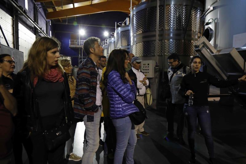 Fotos: Ruta enoturística en Ribera del Duero enmarcada en la feria &#039;Valladolid, Plaza Mayor del Vino&#039;