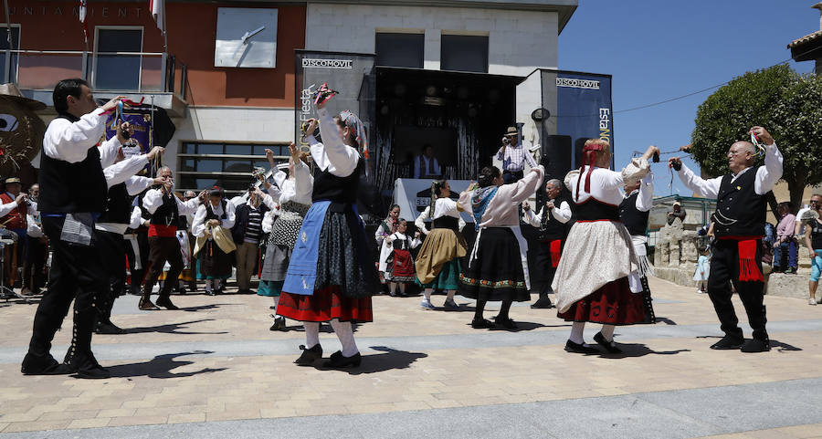 Fotos: Feria del Pan de Grijota