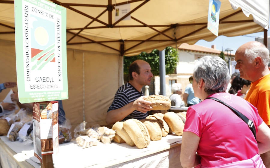 Fotos: Feria del Pan de Grijota