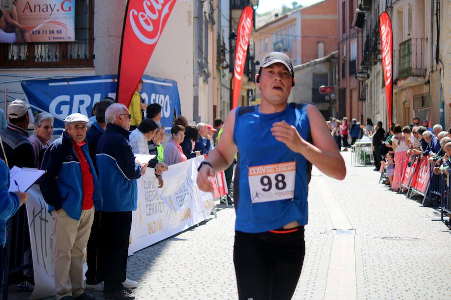 Fotos: Media Maratón del Cerrato