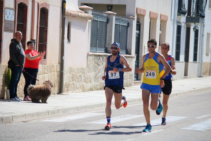 Fotos: Media Maratón del Cerrato