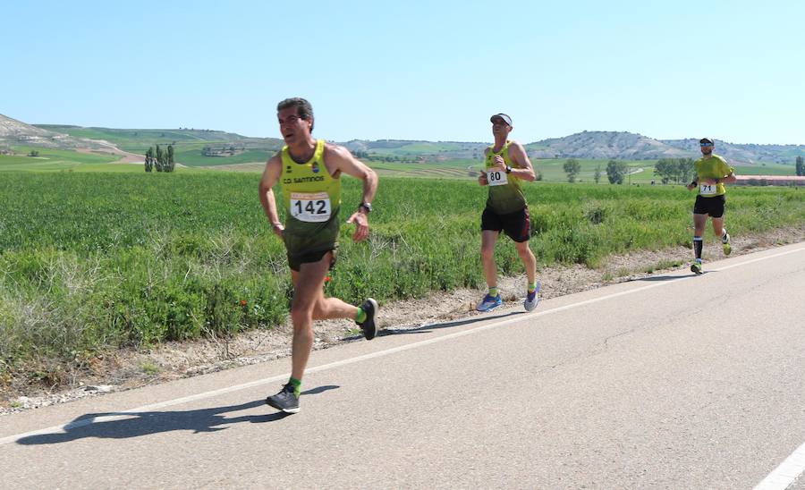 Fotos: Media Maratón del Cerrato