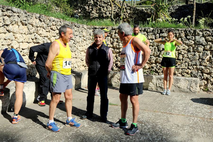 Fotos: Media Maratón del Cerrato