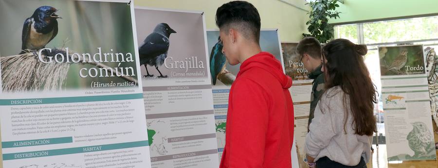Fotos: Inauguración de &#039;Expo Aves. A vista de Pajarillos&#039;