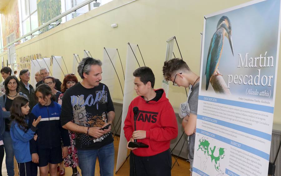 Fotos: Inauguración de &#039;Expo Aves. A vista de Pajarillos&#039;