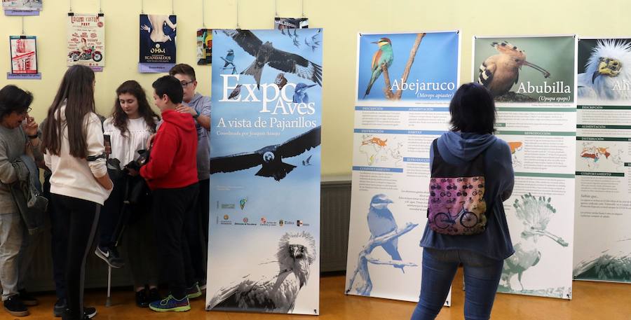 Fotos: Inauguración de &#039;Expo Aves. A vista de Pajarillos&#039;