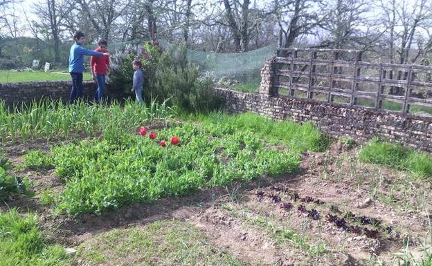 Escolares en huertos ecológicos puestos en marcha en la provincia de Zamora. 