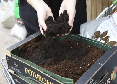 Imagen secundaria 1 - Una caja de fruta reciclada puede ser el lugar perfecto en el que plantar un pequeño huerto. 