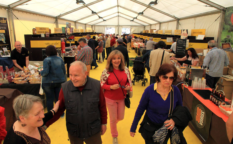 Fotos: Inauguración de la carpa de Tierra de Sabor