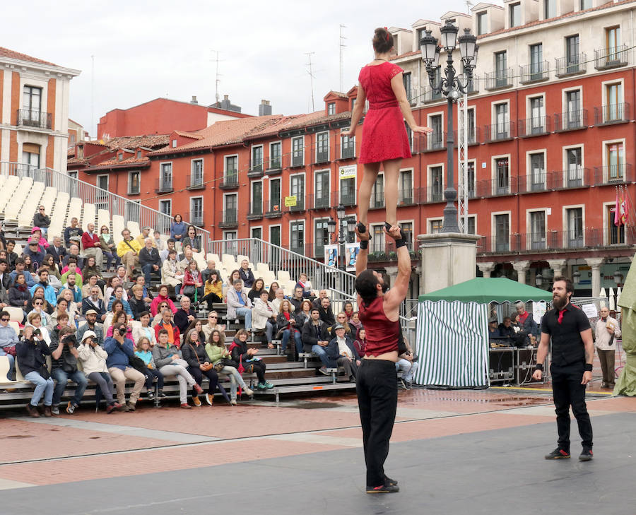 Fotos: Jornada de viernes en el TAC