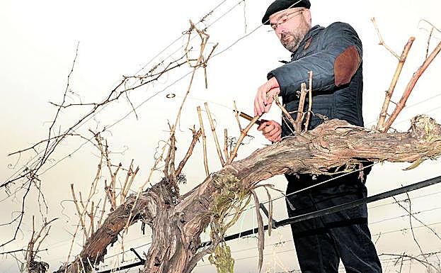 Sergio Ávila tiene una sensibilidad especial que le permite utilizar una herramienta como el biotensor, al que recurre por ejemplo antes de podar. 