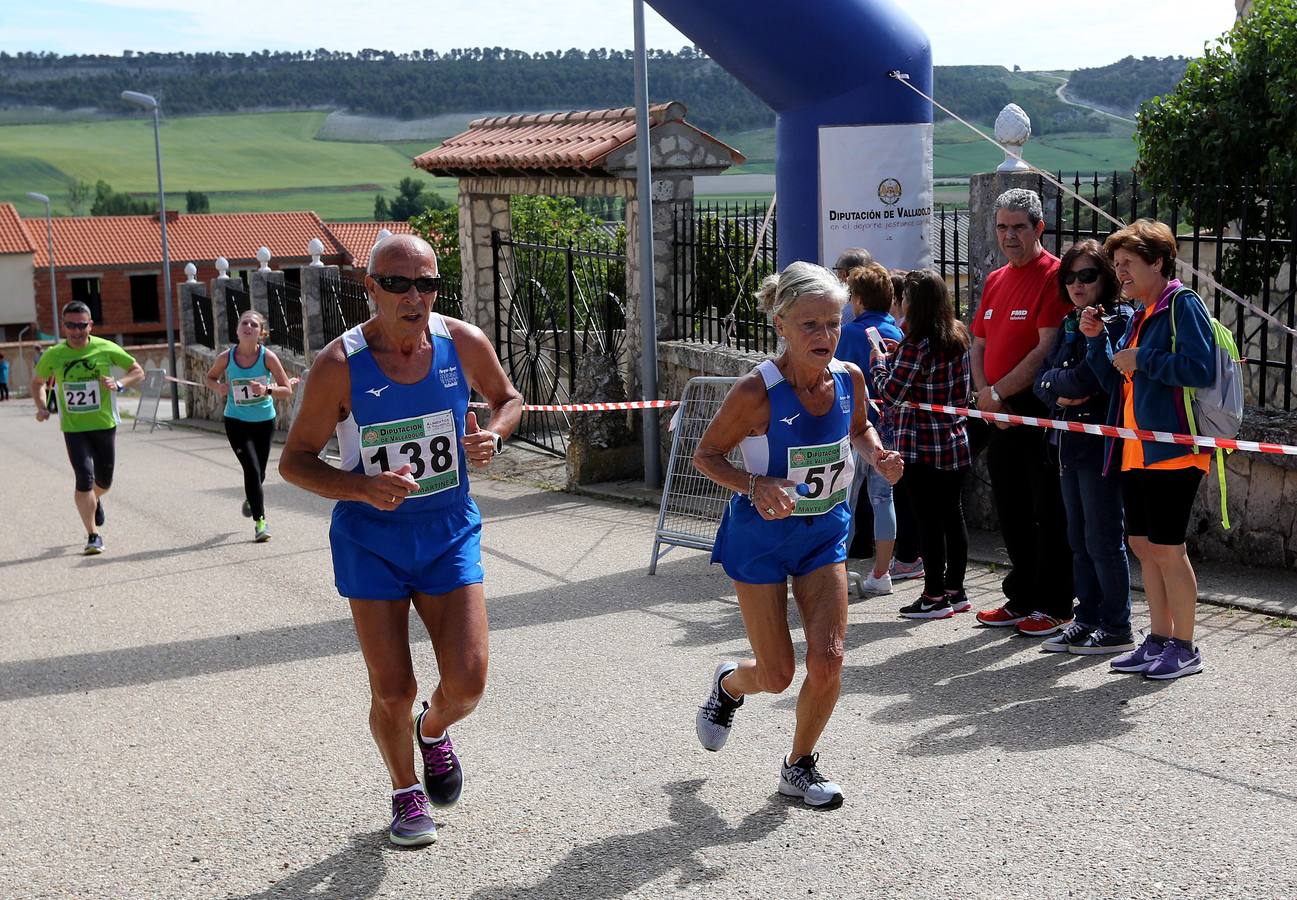 La quinta y última prueba puntuable de la XXIII edición del circuito de Las Cinco Leguas Mayte Martínez se convirtió en toda una fiesta del atletismo popular