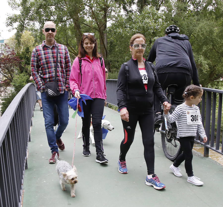 Fotos: Marcha perruna en Palencia