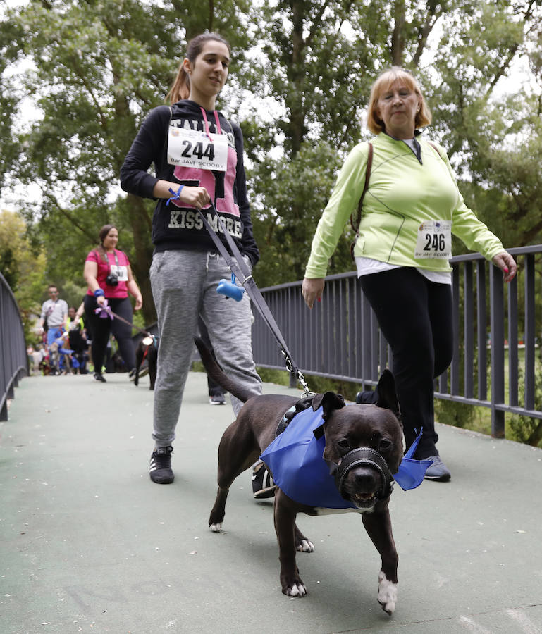 Fotos: Marcha perruna en Palencia