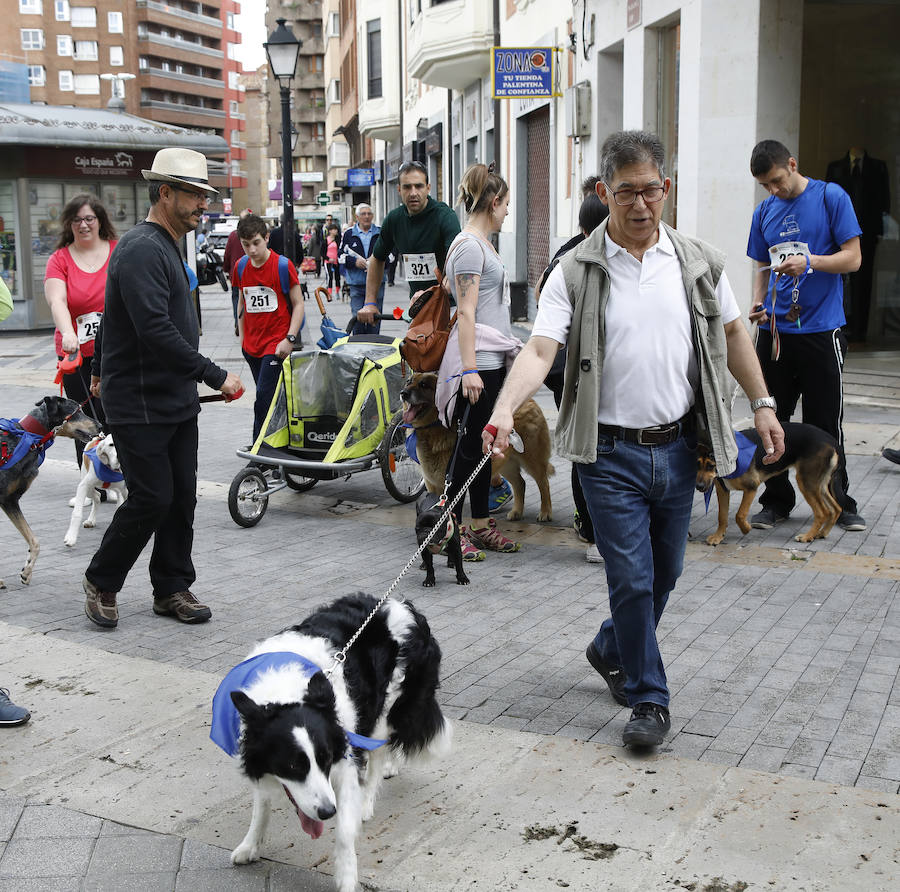 Fotos: Marcha perruna en Palencia