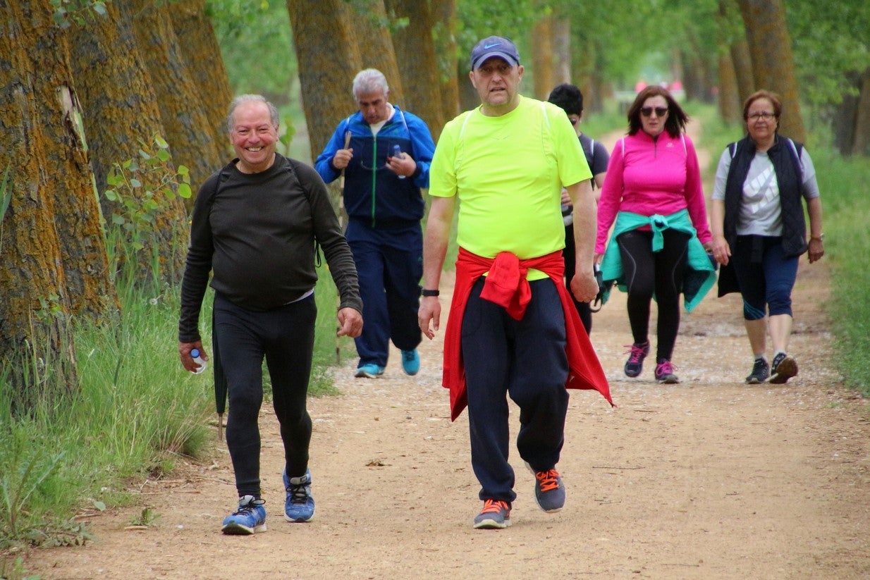 La marcha transcurrió junto al Canal de Castilla, 14 kilómetros de distancia en un recorrido de ida y vuelta por los caminos de sirga, hasta el conocido como puente de Moral