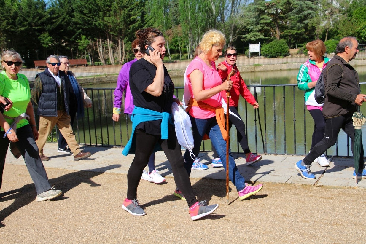 La marcha transcurrió junto al Canal de Castilla, 14 kilómetros de distancia en un recorrido de ida y vuelta por los caminos de sirga, hasta el conocido como puente de Moral