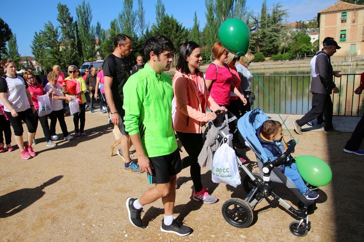 La marcha transcurrió junto al Canal de Castilla, 14 kilómetros de distancia en un recorrido de ida y vuelta por los caminos de sirga, hasta el conocido como puente de Moral