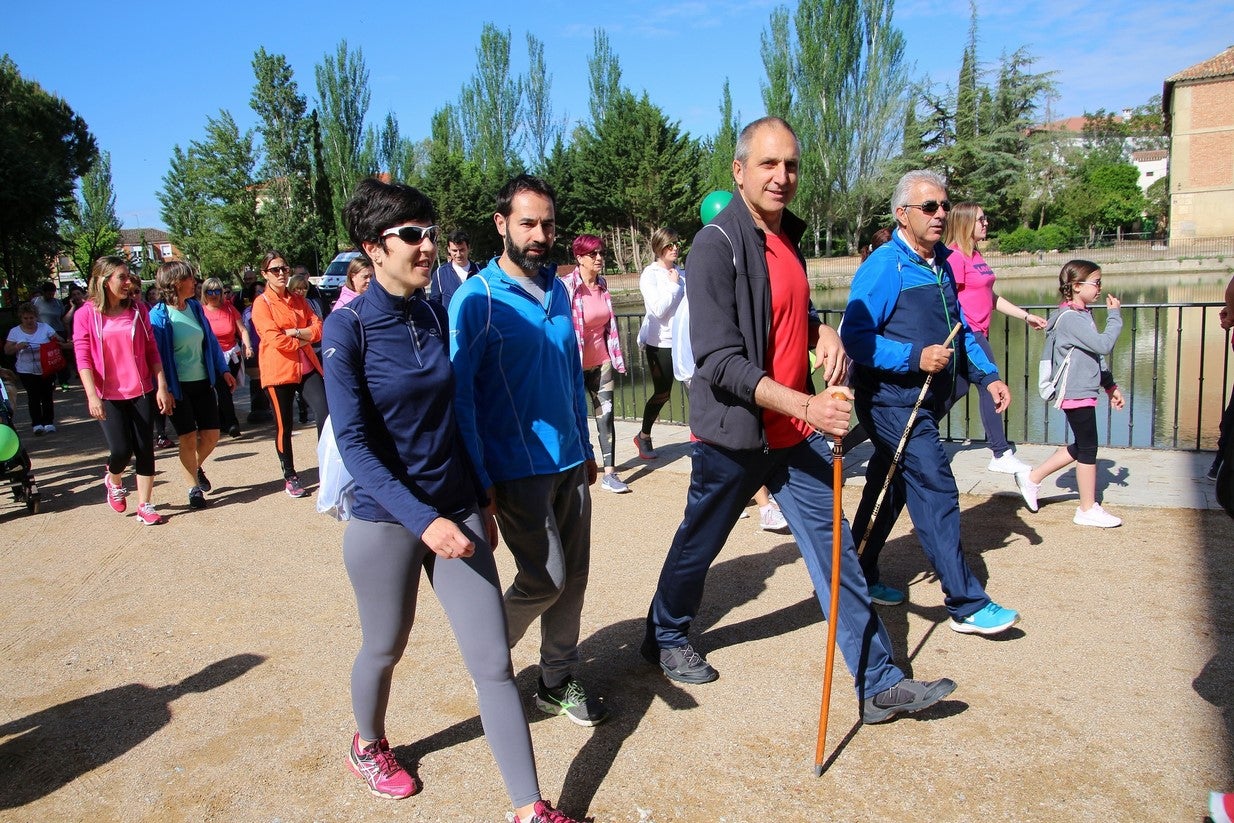 La marcha transcurrió junto al Canal de Castilla, 14 kilómetros de distancia en un recorrido de ida y vuelta por los caminos de sirga, hasta el conocido como puente de Moral