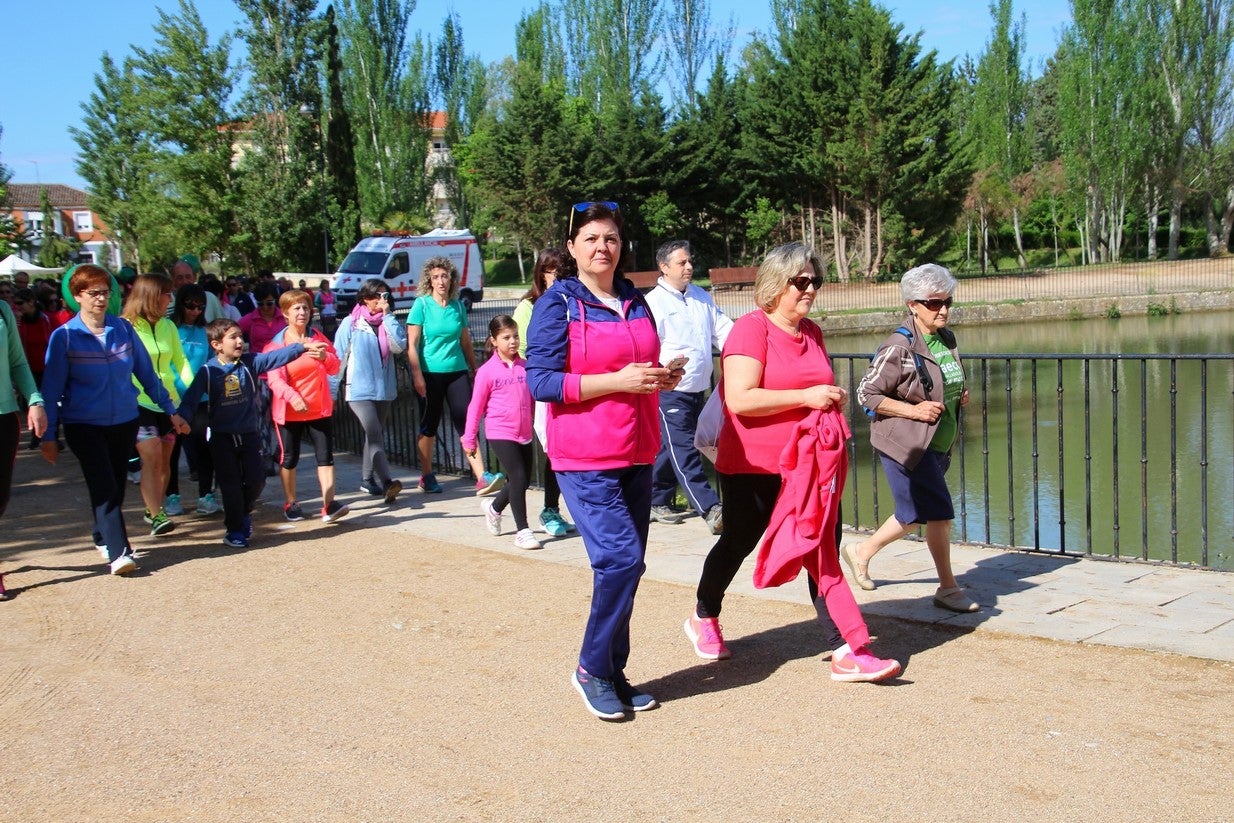 La marcha transcurrió junto al Canal de Castilla, 14 kilómetros de distancia en un recorrido de ida y vuelta por los caminos de sirga, hasta el conocido como puente de Moral