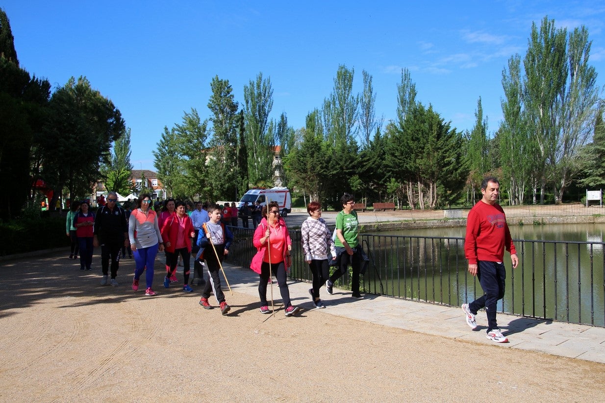 La marcha transcurrió junto al Canal de Castilla, 14 kilómetros de distancia en un recorrido de ida y vuelta por los caminos de sirga, hasta el conocido como puente de Moral