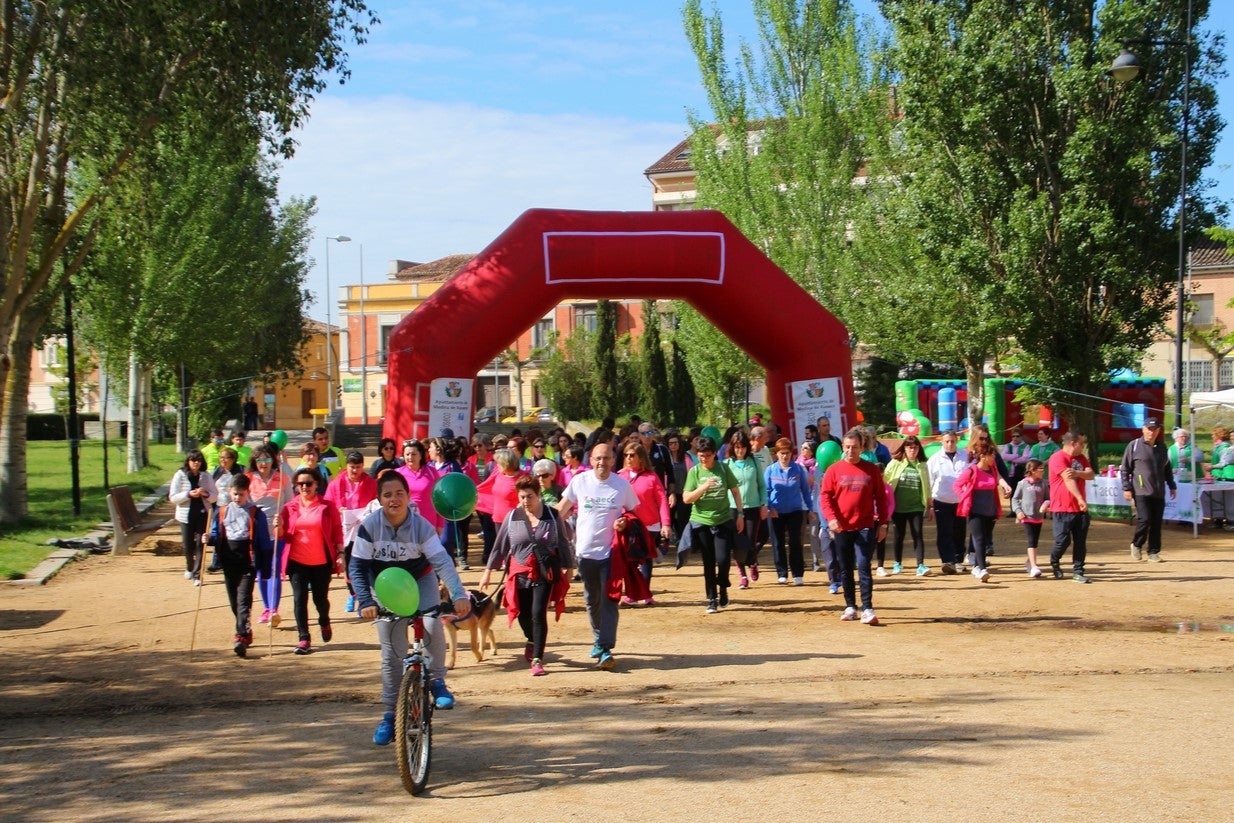 La marcha transcurrió junto al Canal de Castilla, 14 kilómetros de distancia en un recorrido de ida y vuelta por los caminos de sirga, hasta el conocido como puente de Moral