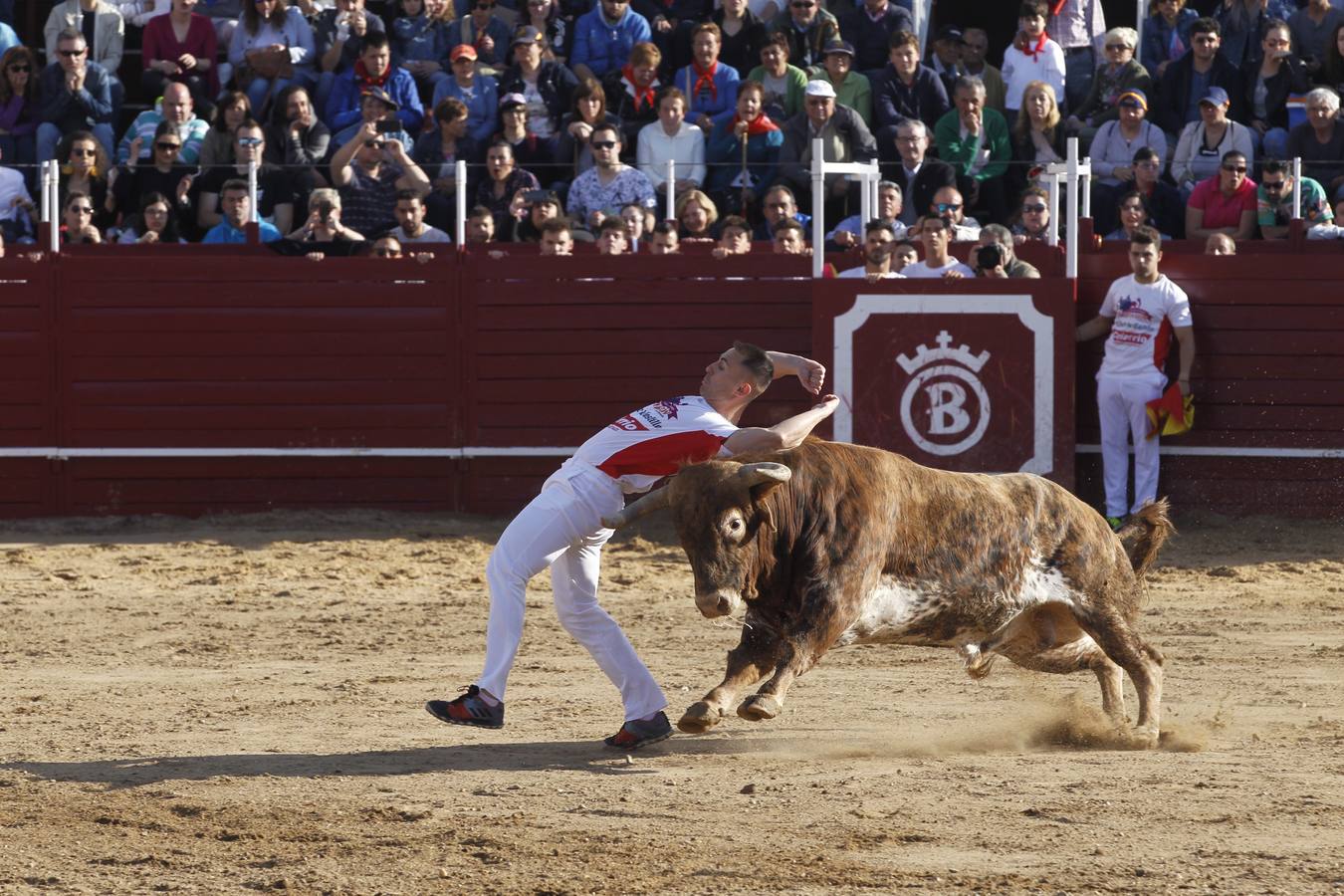 El coso de la localidad zamorana disfrutó con el saber hacer y la buena condición física de los dieciséis participantes