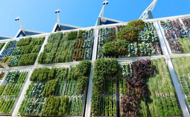 Jardín vertical en un edificio de Liverpool.