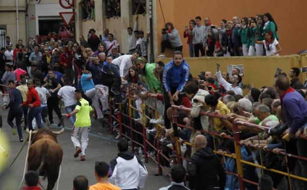 El toro Rastreador, durante el festejo.