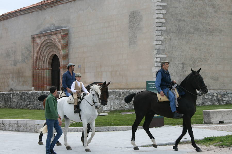 Fotos: Feria del caballo en Cuéllar