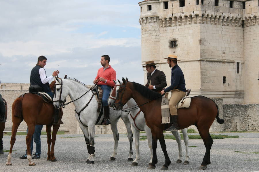 Fotos: Feria del caballo en Cuéllar