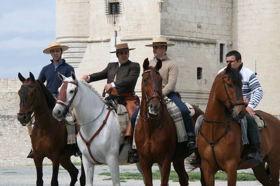 Fotos: Feria del caballo en Cuéllar